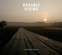 Organic Rising