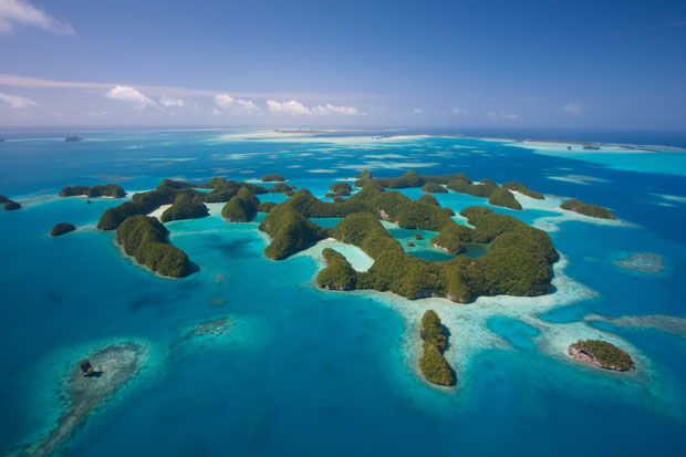 Palau marine sanctuary