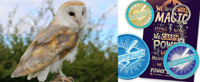 5 Ways Harry Potter Fans are Keeping the Magic Alive