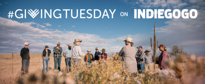 6 Easy Ways To Make An Impact This Giving Tuesday
