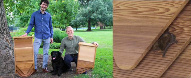 How two entrepreneurs are fighting mosquito-born illness, one bat at a time