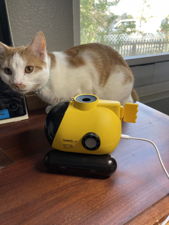 Photo of Tater Tot the cat on a desk with the Tempo-X submarine.