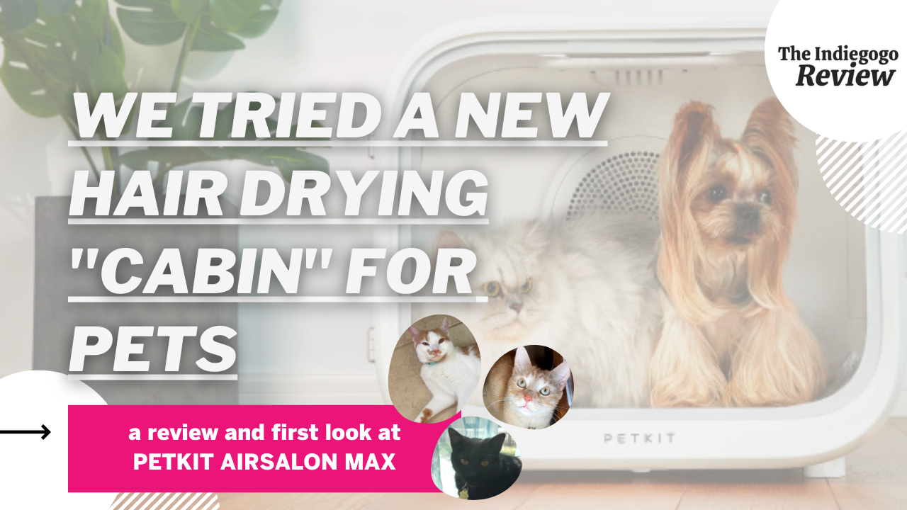 PETKIT AIRSALON MAX: A Unique Way To Groom Your Cat