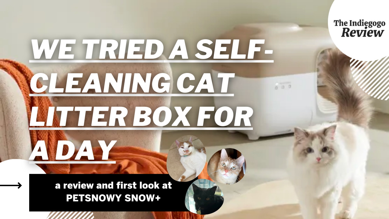 PetSnowy SNOW+: A Better Self-Cleaning Litter Box