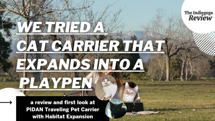 Background image: A woman sits on a field with the Pidan cat carrier in front of her Foreground: Text saying "We tried a cat acarrier that converts into a playpen" with small photos of three cats